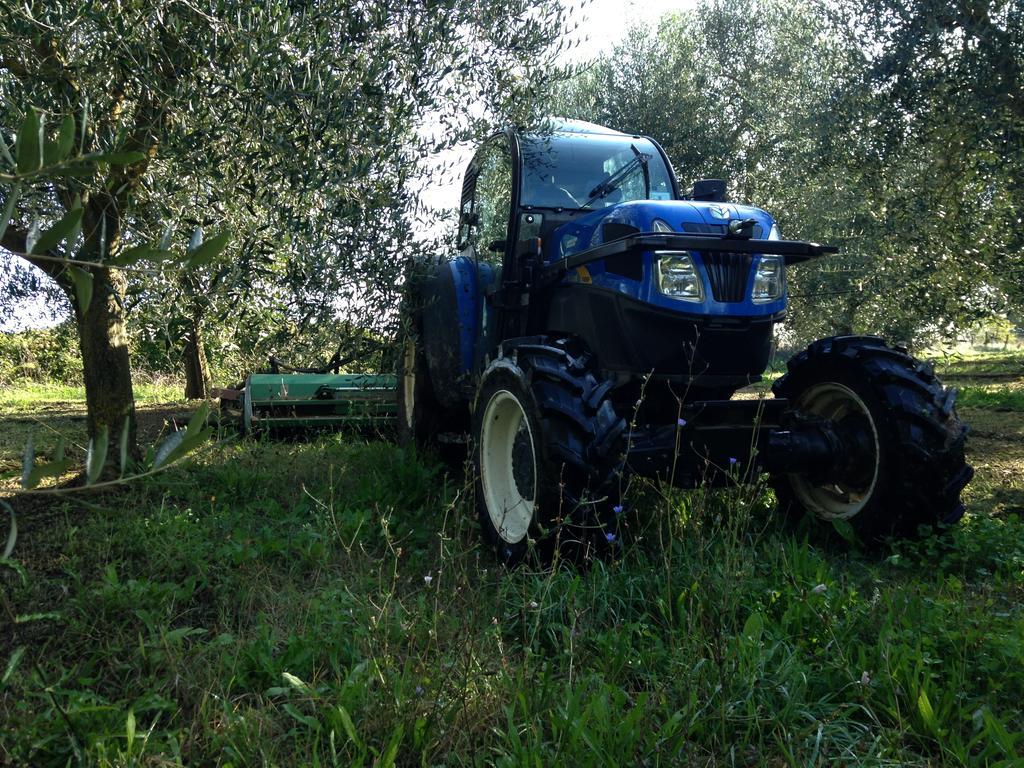 Willa Fattoria Lucciano Borghetto  Zewnętrze zdjęcie