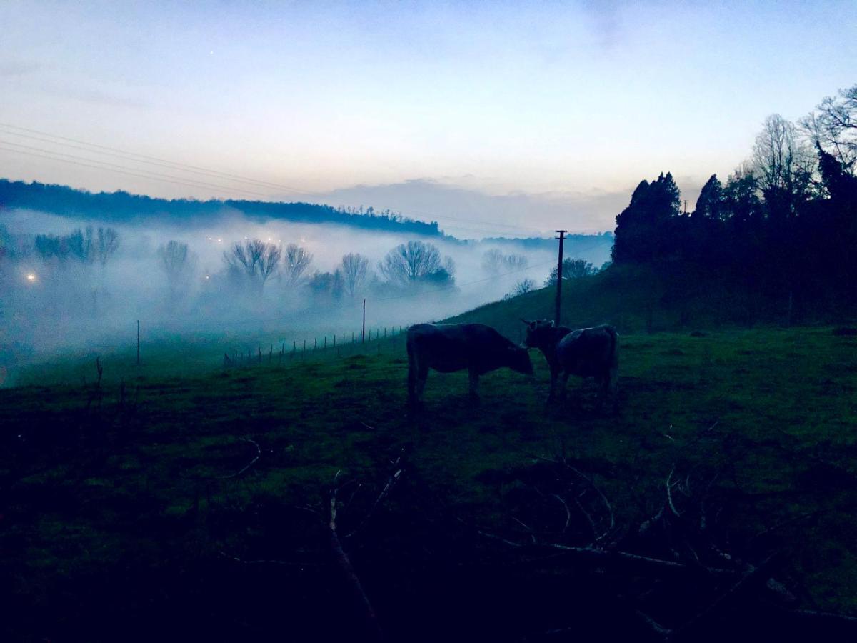 Willa Fattoria Lucciano Borghetto  Zewnętrze zdjęcie
