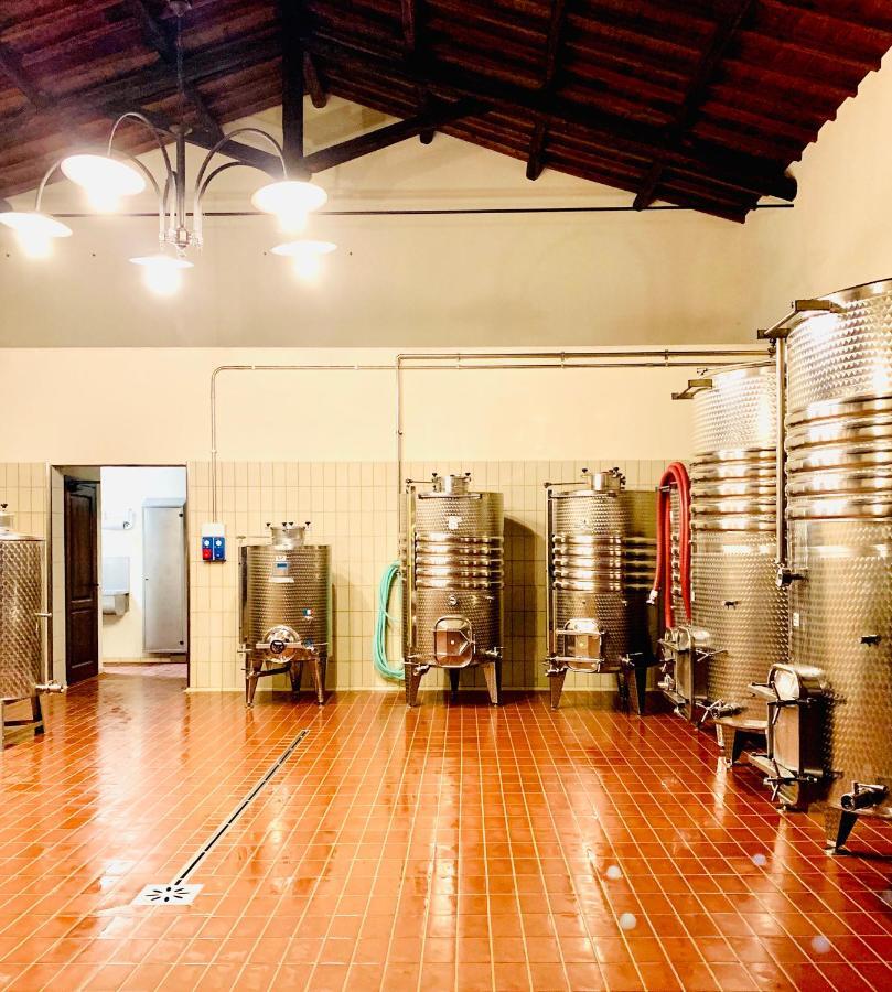 Willa Fattoria Lucciano Borghetto  Zewnętrze zdjęcie